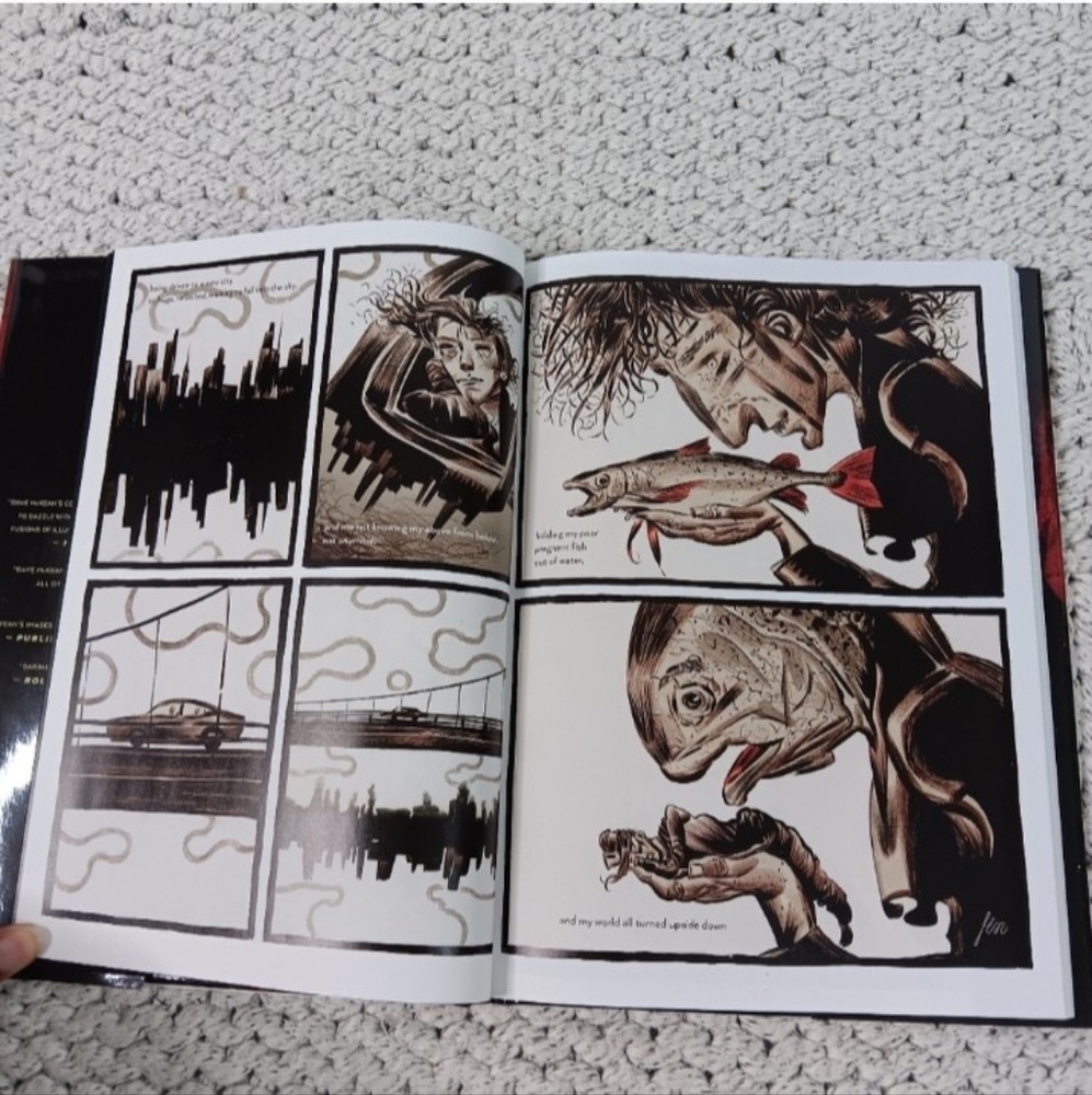 NWT Dream States: The Collected Dreaming Book 1997-2014 by Dave McKean Hardcover - Picture 4 of 6